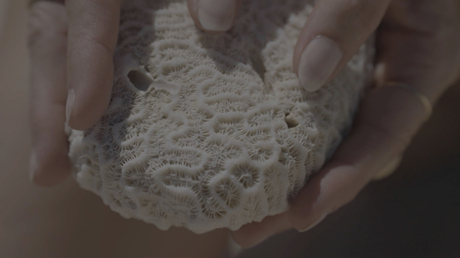 Image 1 page d'acceuil