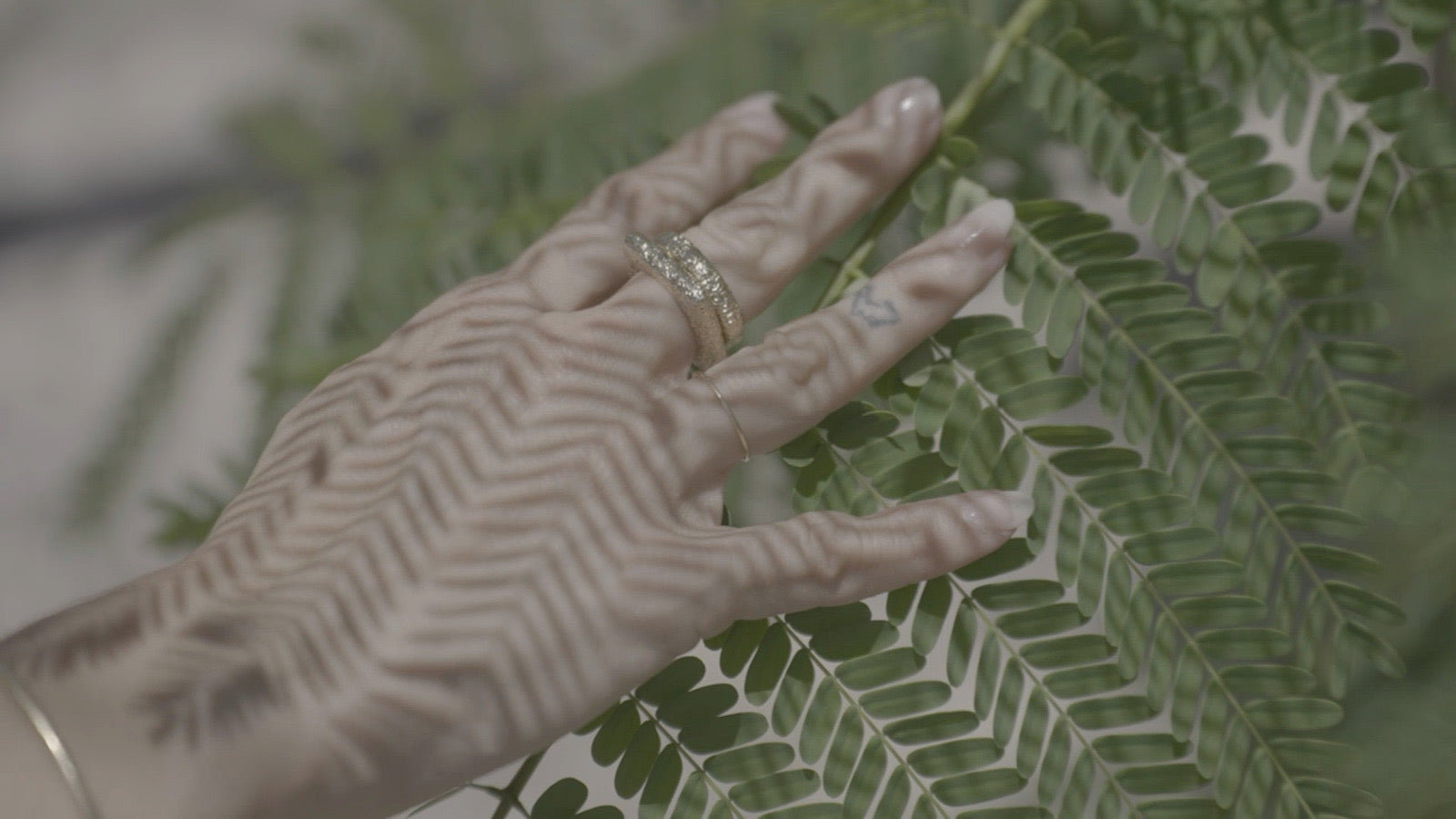 Image 2 page d'acceuil